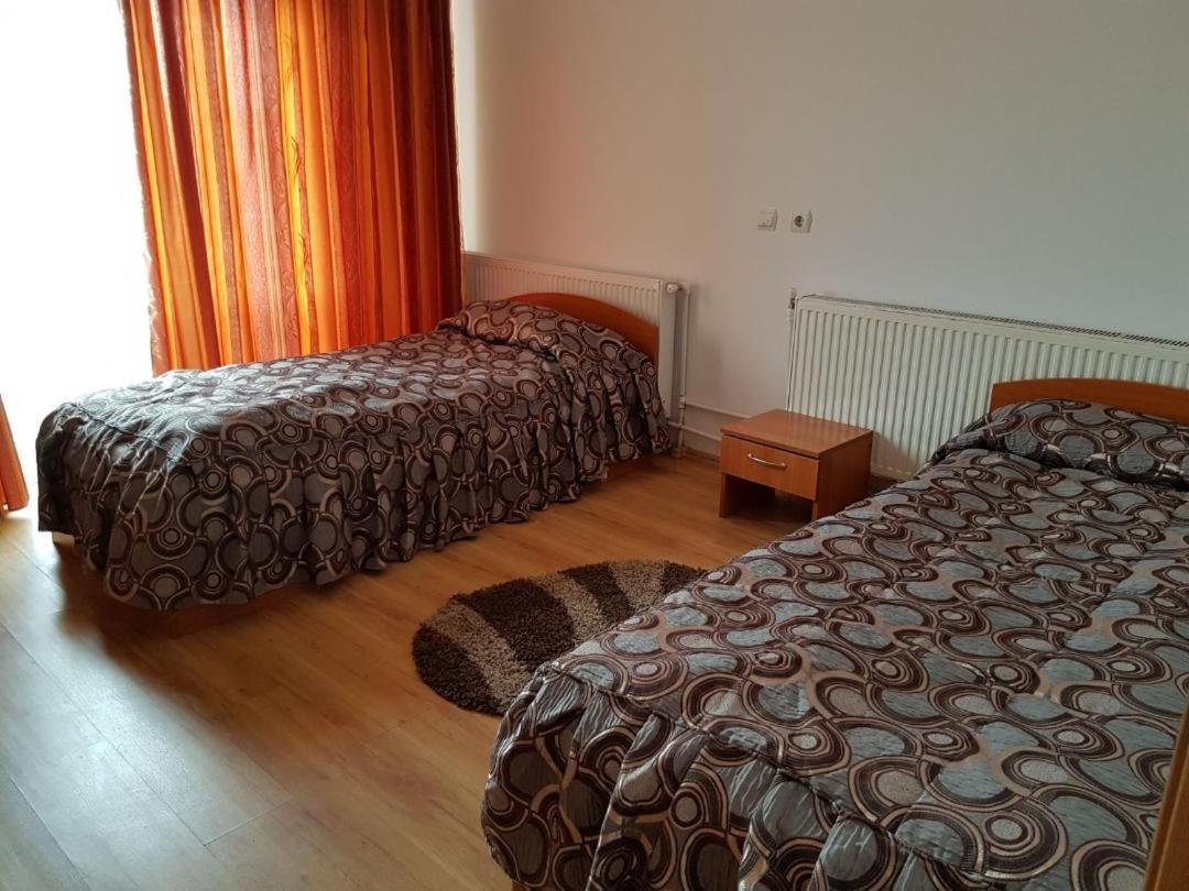 Hotel Floare De Colt Teius Εξωτερικό φωτογραφία