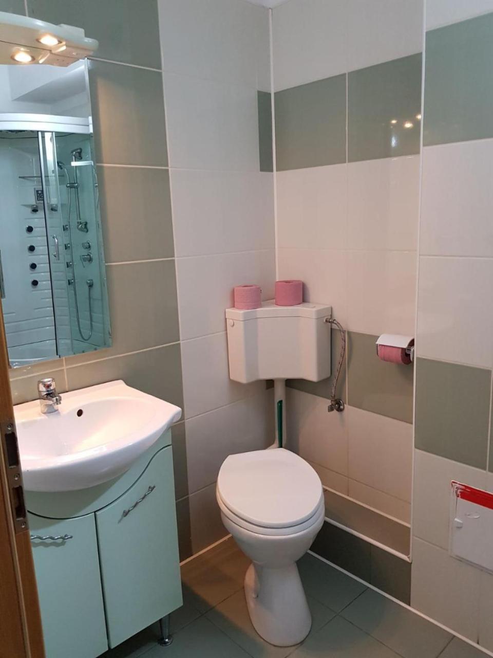 Hotel Floare De Colt Teius Εξωτερικό φωτογραφία